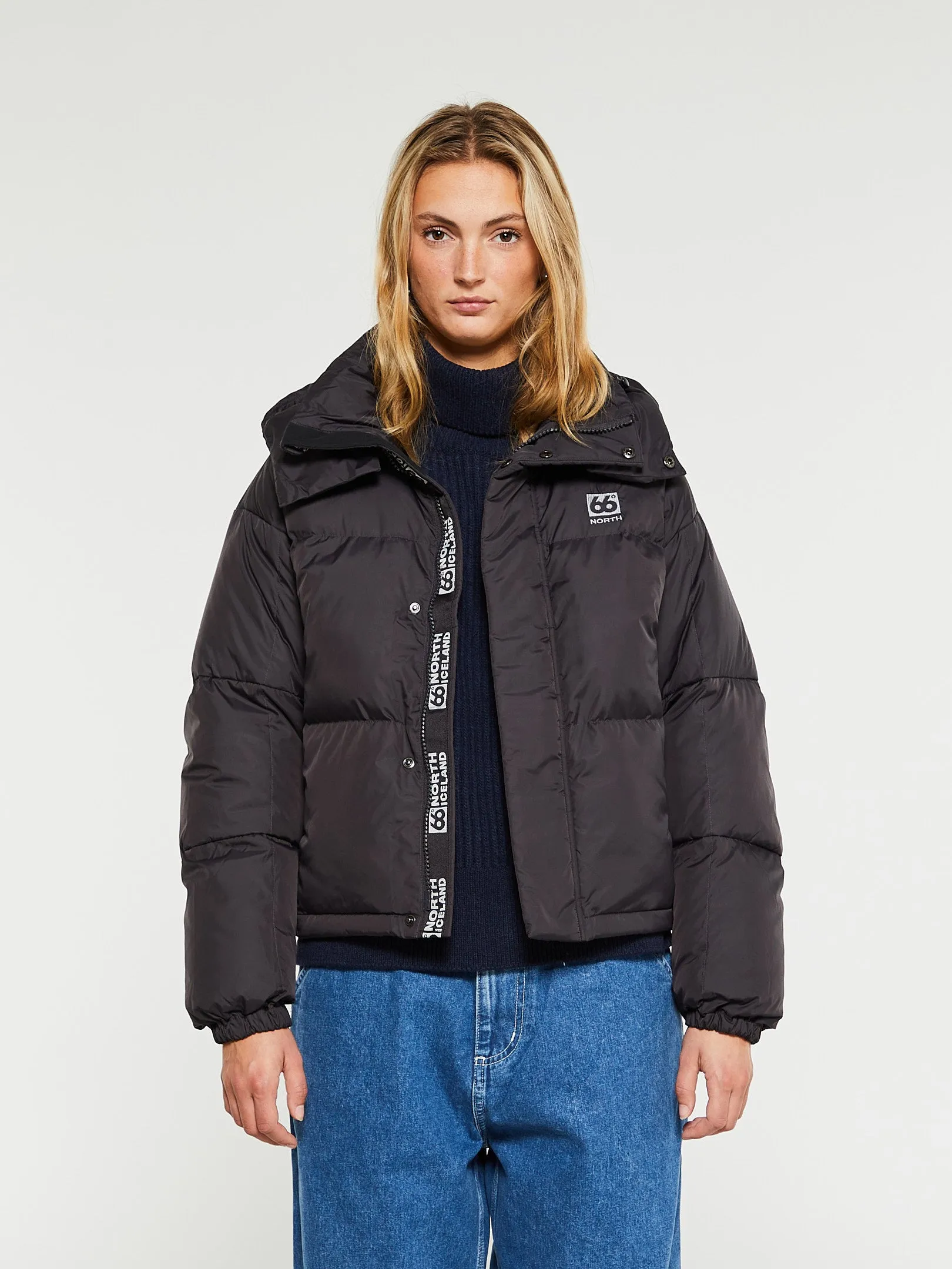 Dyngja Down Cropped Jacket in Obsidian